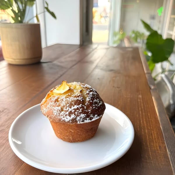 A Cafe Enza muffin, dusted with powdered sugar and lemon curd, sits on a white plate.