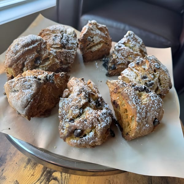 A tray of Cafe Enza chocolate chip scones dusted with powdered sugar.